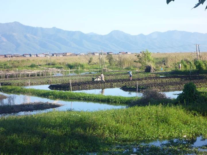 The inundated fields around the edge of Inle Lake.